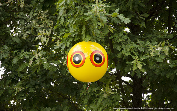 PREDATOR is a bird scarer balloon